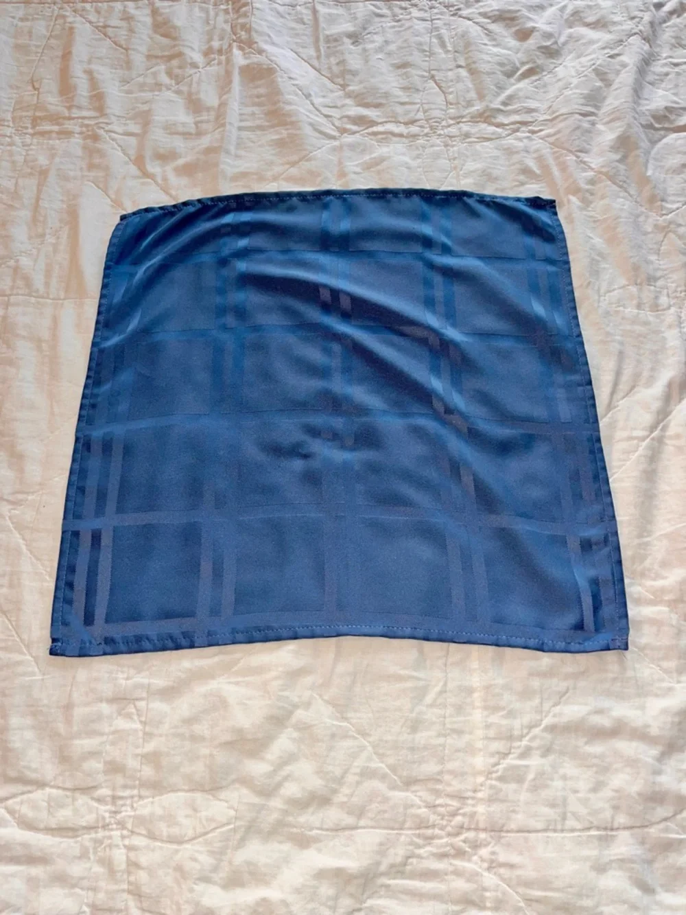 Set of 4 Cornflower Blue Windowpane Napkins - 19